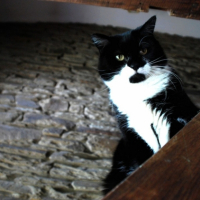 Photo #190864 de Odile