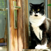 Photo #190882 de Odile