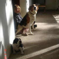 Photo #190909 de Socrate