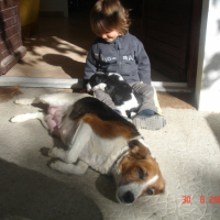 Photo #190913 de Socrate