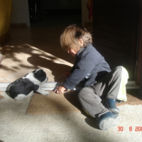Photo #190924 de Socrate