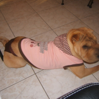 Photo #190934 de Amna
