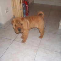 Photo #190936 de Amna