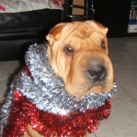 Photo #190946 de Amna