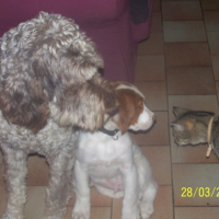 Photo #191007 de Baxter