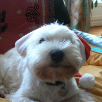 Photo #191130 de Twister