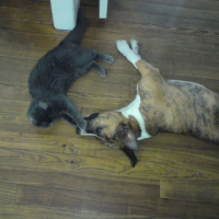 Photo #191155 de Nala