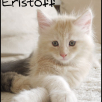 Photo #191184 de Eristoff