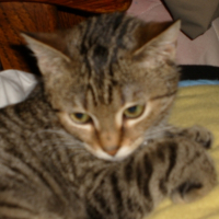 Photo #191191 de Eny