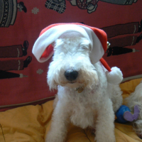 Photo #191192 de Lucky