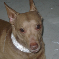 Photo #191210 de Rocky