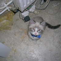 Photo #191224 de Blanco