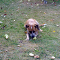 Photo #191271 de Lilou