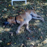 Photo #191274 de Lilou