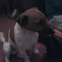 Photo #191341 de Athos