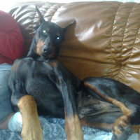 Photo #191353 de Cristal
