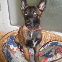 Photo #191355 de Eclair
