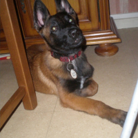 Photo #191357 de Eclair