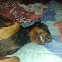 Photo #191358 de Cristal