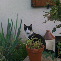 Photo #191362 de Missy