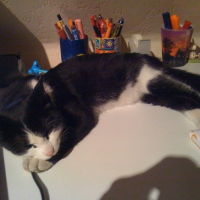 Photo #191365 de Missy