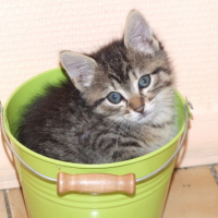 Photo #191366 de Marley