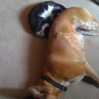 Photo #191368 de Missy