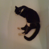 Photo #191371 de Missy