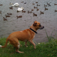 Photo #191380 de Lilou