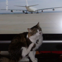 Photo #191420 de Minette