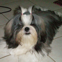 Photo #191438 de Keno