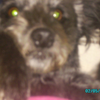 Photo #191468 de Loly