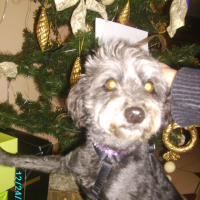 Photo #191470 de Loly