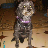Photo #191473 de Loly