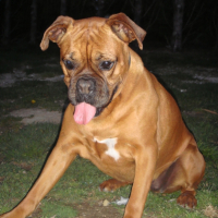 Photo #191475 de Ripsie