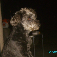 Photo #191476 de Loly