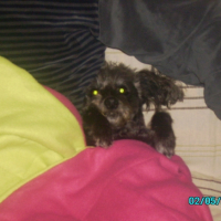 Photo #191477 de Loly