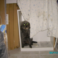 Photo #191479 de Loly