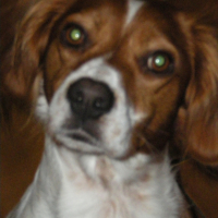 Photo #191510 de O'neil