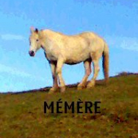Photo #191513 de Mémére