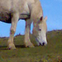 Photo #191518 de Mémére