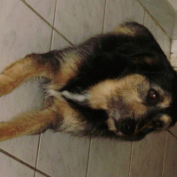 Photo #191532 de Salto