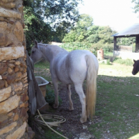Photo #191538 de Mémére