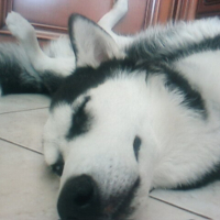 Photo #191544 de Maya