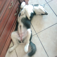 Photo #191547 de Maya