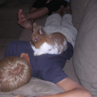 Photo #191584 de Noisette