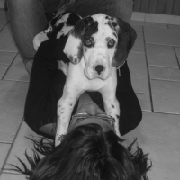 Photo #191599 de Loona
