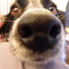 Gros nez=)