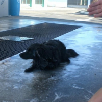 Photo #191713 de Ciela