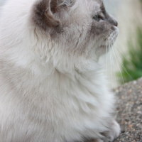Photo #191717 de Zoé